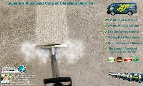 carpet cleaning methods processes