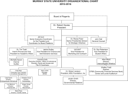 Murray State University Organizational Chart Pdf