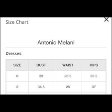 Classy Antonio Melani Dress