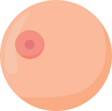 Download Boobs Boob Breasts Royalty-Free Vector Graphic - Pixabay