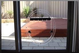 Glass Dog Doors Installers Sydney