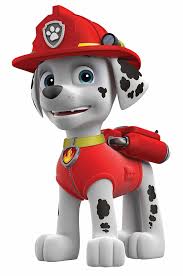 meet your favorite paw patrol characters