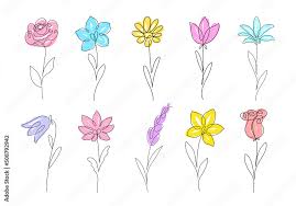 flower set continuous line drawing