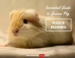 guinea pig fleece bedding