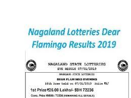 Nagaland Lottery Dear Flamingo Results 09 12 2019 Released
