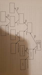 Solved 3 Fill In The Following Flow Chart Of An Extracti