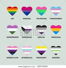 Biblioteca de brújula intersexual (10). Intersexual Images Illustrations Vectors Free Bigstock