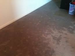 water damaged carpets canberra