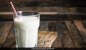 what-is-the-difference-between-dairy-and-lactose