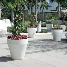 rim modern self watering planters
