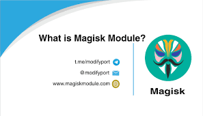 what is magisk module