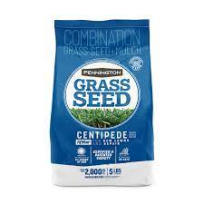 pennington tifblair 5 lbs centipede gr seed 2149627553