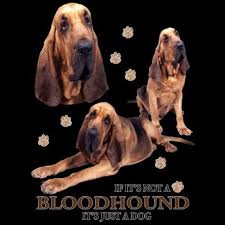 Bloodhound Dog Womens Short Or Long Sleeve Shirt Or Tank Top 21357hd4