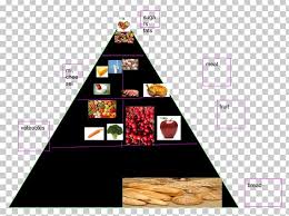 Triangle Brand Png Clipart Art Brand Chart Food Food