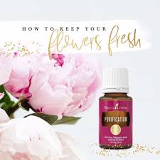 Using perfumes in this manner makes them finish quicker. Make Your Flowers Last Longer Aceite Esencial De Purificacion Aceites Esenciales Young Living Aceite