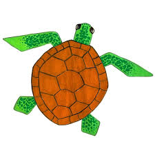 how to draw a sea turtle easy step by