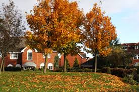 Image result for free images of autumn scenes