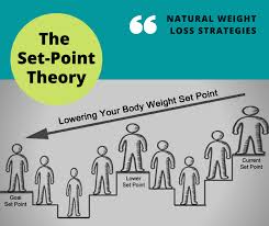 WHAT IS THE BODY WEIGHT... - Infinite Health Studio | Facebook