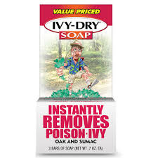 ivy dry soap complete body wash wayne