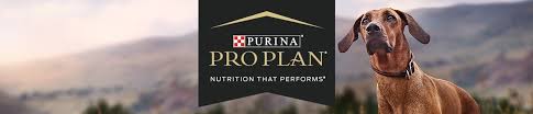 purina pro plan high protein en