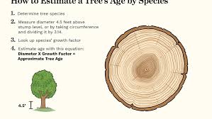 age without cutting the tree