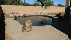 pool build highlight the hare family