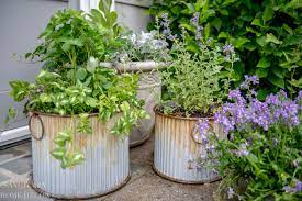 Unique Container Ideas For Garden