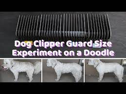 dog clipper guard size chart