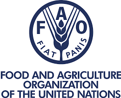 Cooperazione e sviluppo. Possibilità di stage presso la FAO – Cosvig