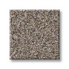 carpet shaw remixed clic nutria