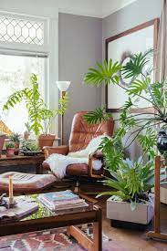 decorating with plants modernize