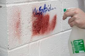 paint remover spray ile ilgili görsel sonucu