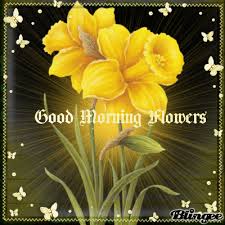 good morning flowers for you picture