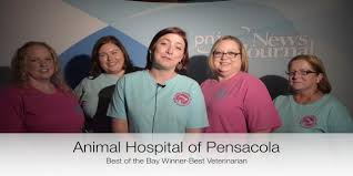Services range from wellness and routine examinations to diagnostics and treatment on both an. Best Of The Bay 2019 Winner Animal Hospital Of Pensacola