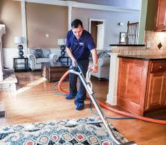 5 helpful carpet cleaning tips every