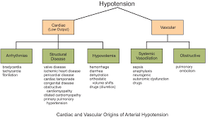 Cv Physiology Hypotension Introduction