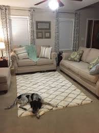 yes or no to area rug