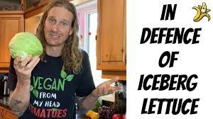 in defence of iceberg lettuce the raw