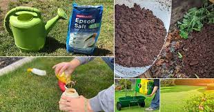 9 effective homemade lawn fertilizers
