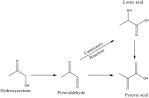 hydroxyacetone