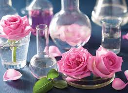 Image result for beautiful photos of flower essences]