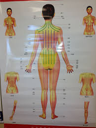 Guasha Massage Chart Posterior Female Gua Sha Massage