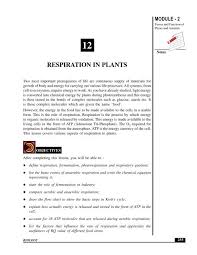Respiration In Plants
