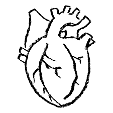 心臓のイラスト（PNG） | えんぴつ素材