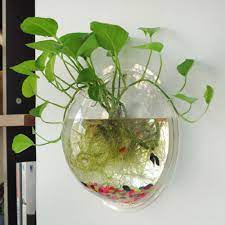 glass ball water planter wall vase