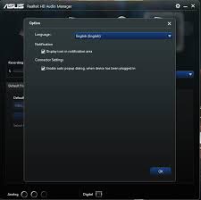 realtek audio manager does not show