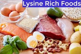 The recommended daily intake for lysine is 30mg per kilogram of body weight or 13.6mg per pound. Foods Rich Or High In Lysine You Can Eat Paperblog