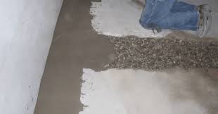 How To Prevent Mold Growth Drycrete