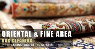 rug cleaner in atlanta gwinnet and