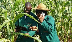 Image result for nigeria farmers group